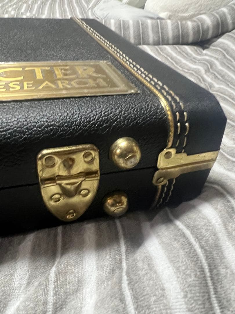 熊SCHECTER PW-EX-B-BL/FL