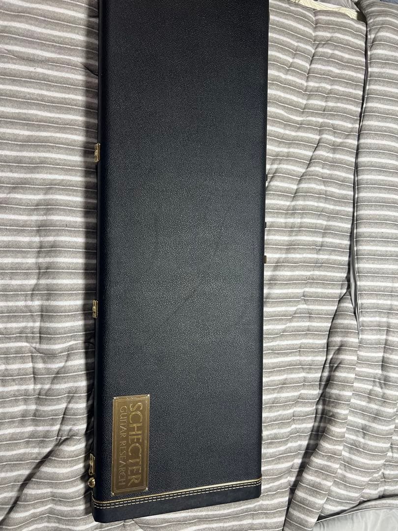 熊SCHECTER PW-EX-B-BL/FL