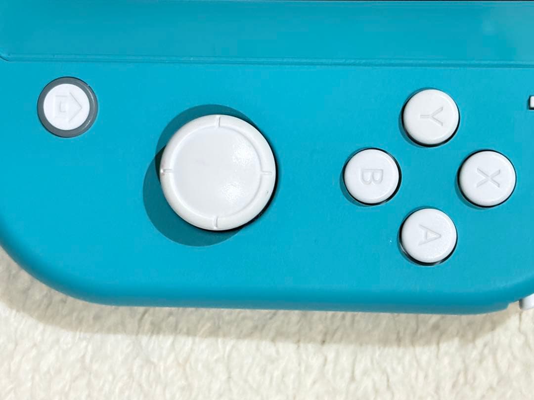Nintendo Switch Lite 本体・箱・充電器・ケース 2台セット