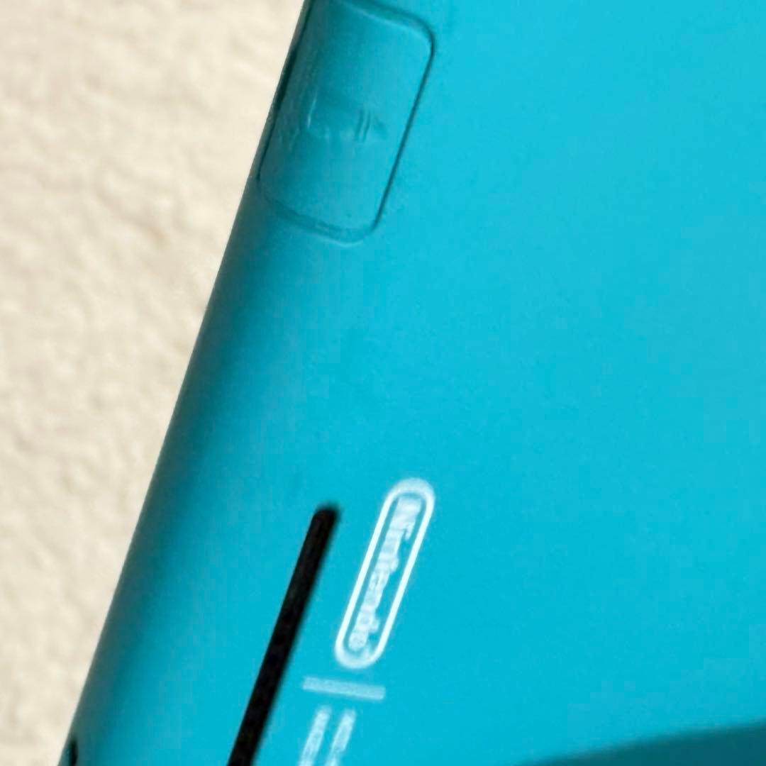 Nintendo Switch Lite 本体・箱・充電器・ケース 2台セット