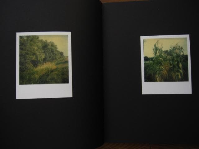 アート・デザイン・音楽 William Eggleston Polaroid SX-70