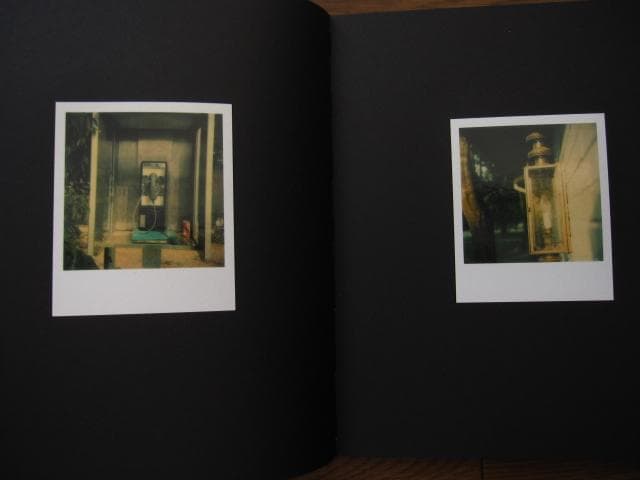 アート・デザイン・音楽 William Eggleston Polaroid SX-70