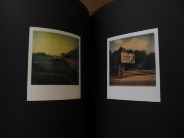 アート・デザイン・音楽 William Eggleston Polaroid SX-70