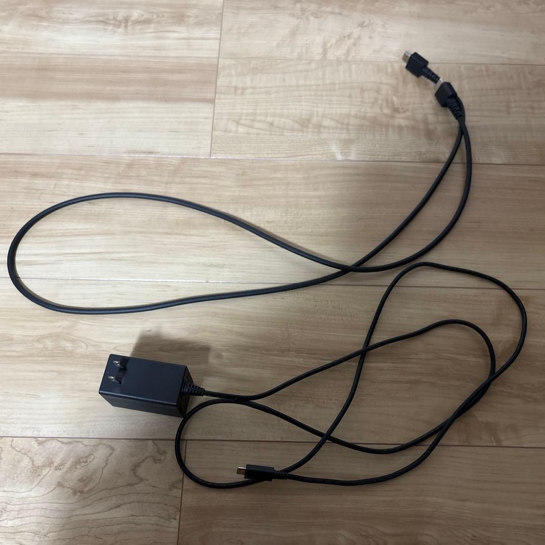 Nintendo Switch あつまれ どうぶつの森セット　専用ケース付き