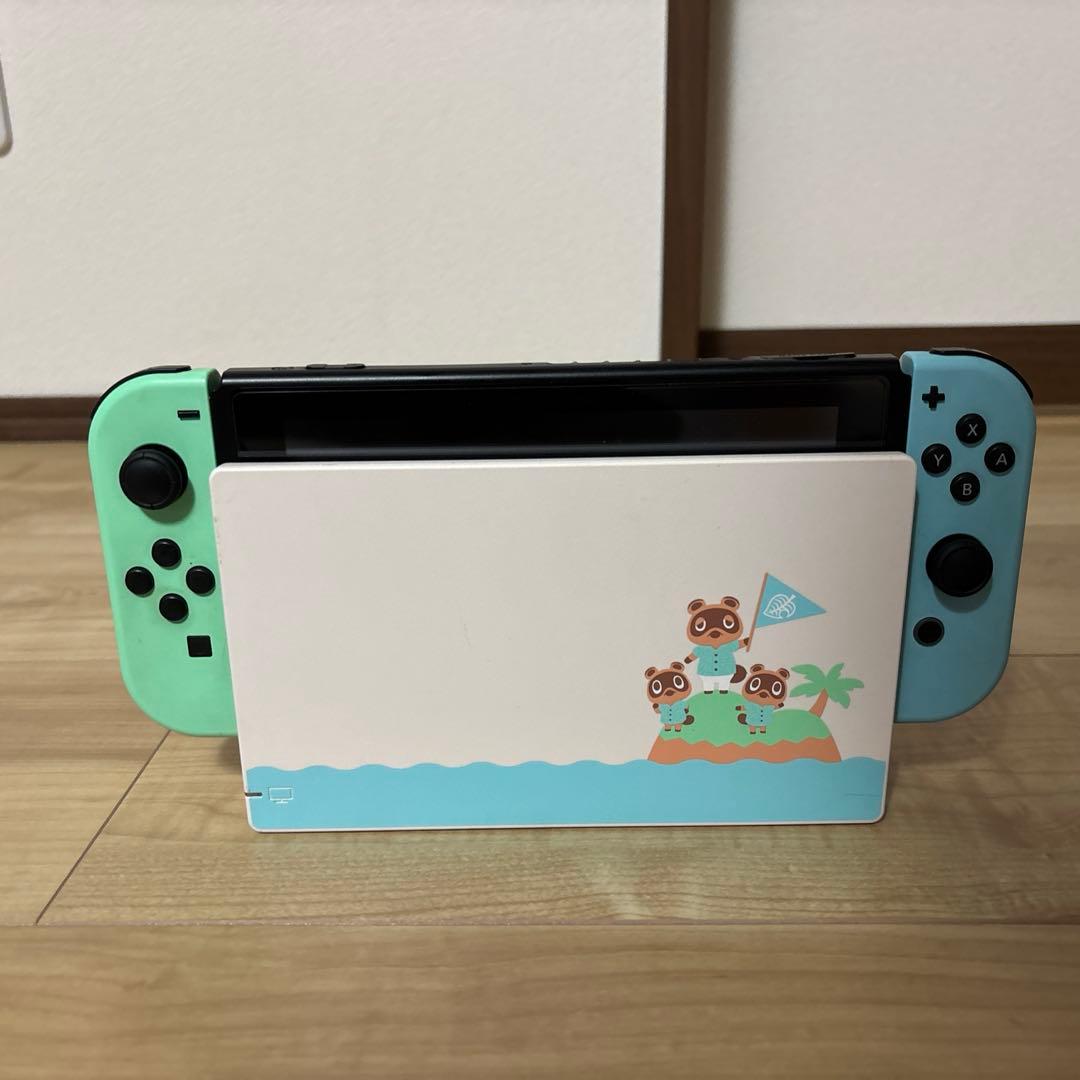 Nintendo Switch あつまれ どうぶつの森セット　専用ケース付き