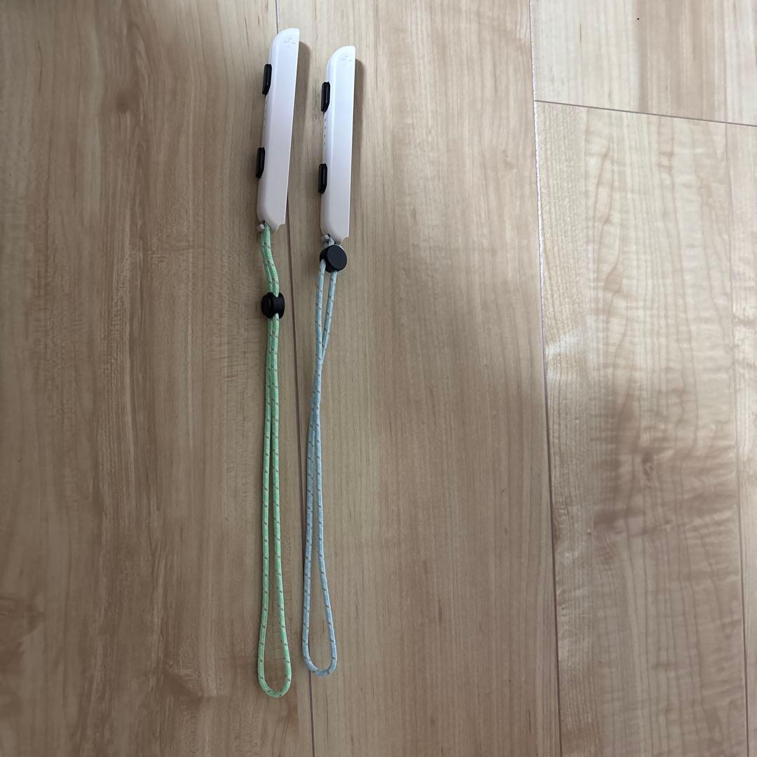 Nintendo Switch あつまれ どうぶつの森セット　専用ケース付き