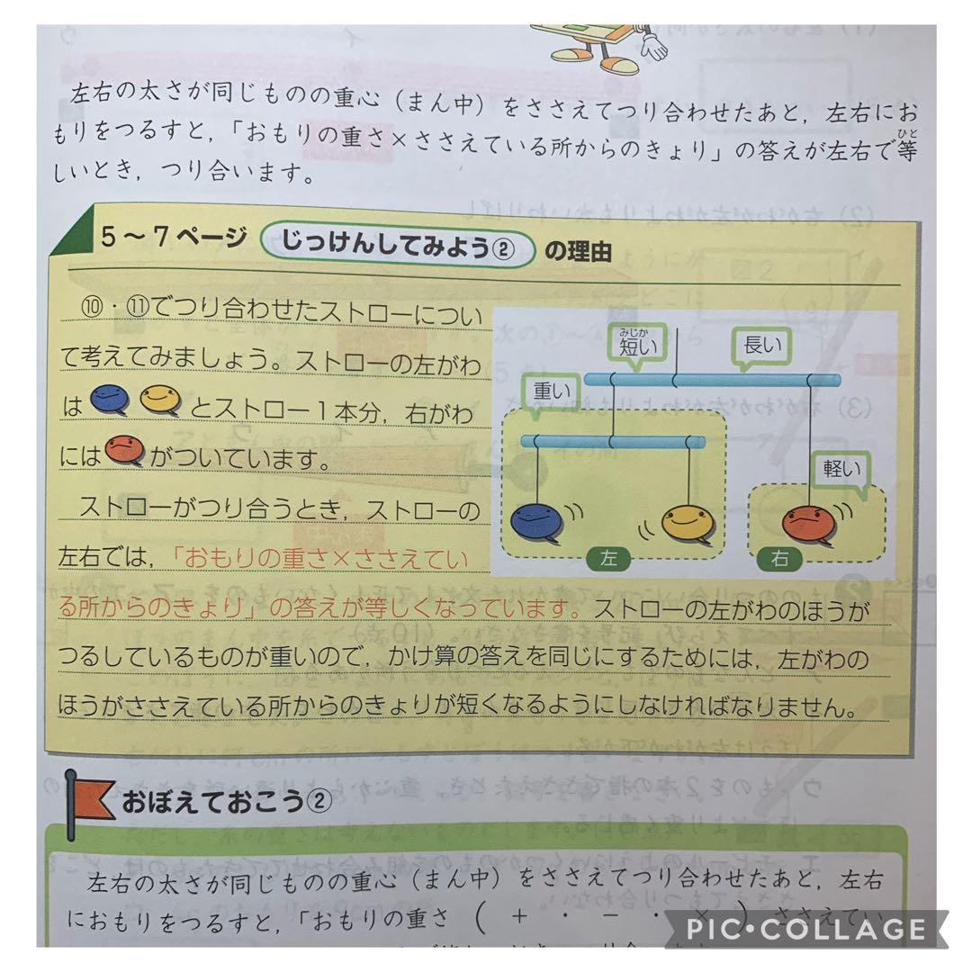Z会 小3 中学受験 エブリスタディ アドバンスト 解答付き 未記入 1学年分