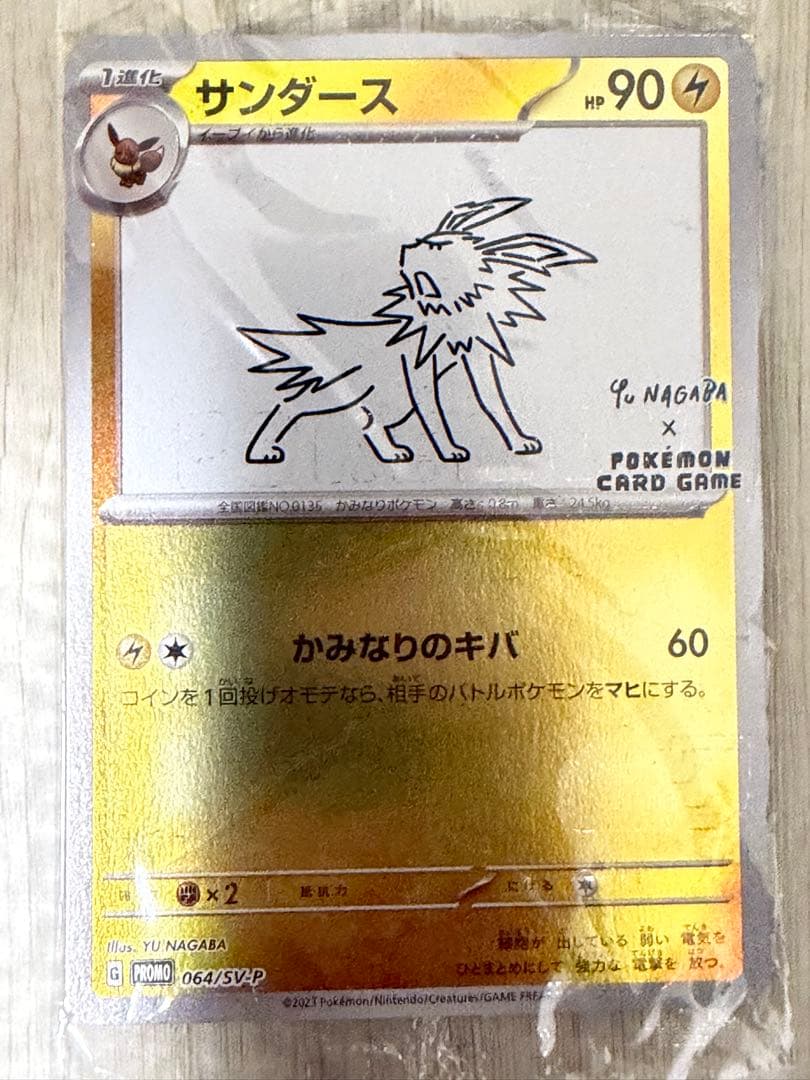 yu nagaba ブイズ、ピカチュウセット【おまけ付き】