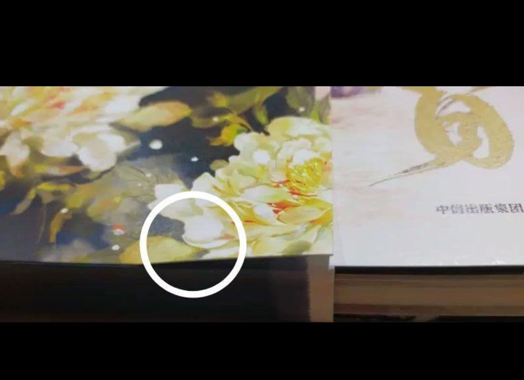 天官賜福 画集 惊鸿一瞥 イラスト集 典蔵集 典藏集