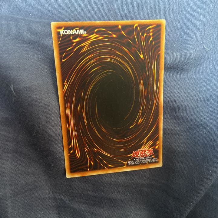 【希少】ドラゴンに乗るワイバーン ウルパラ