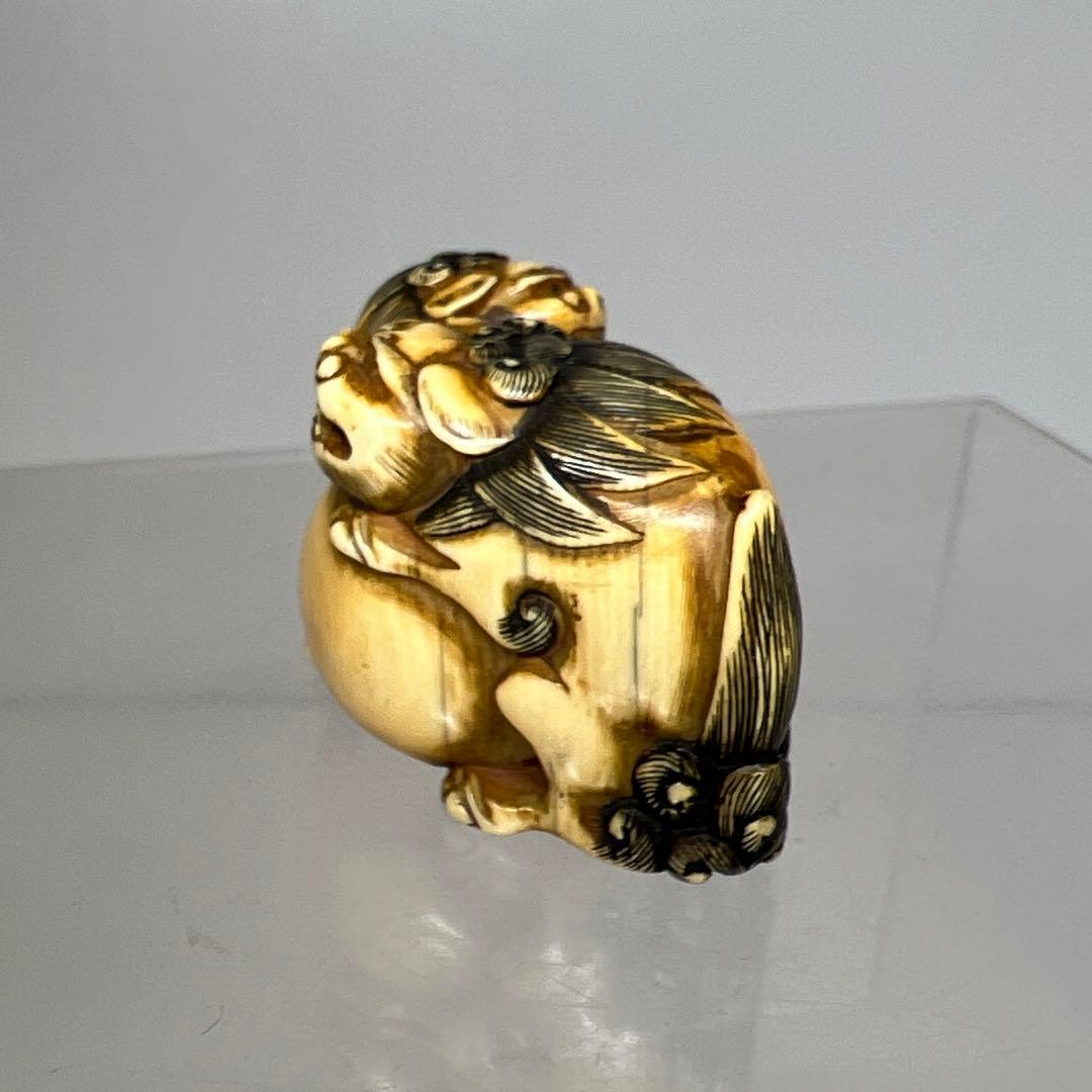 江戸時代　極上　獅子　根付　41g トニサト　東さ7-0923☆2F