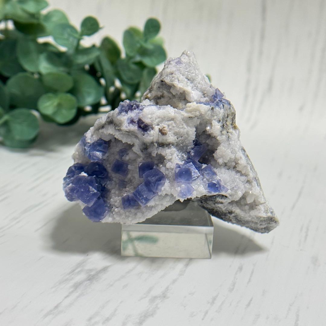 【D293】レア☆ブルー満天星 フローライト ヤオガンシャン 原石 鉱物 標本