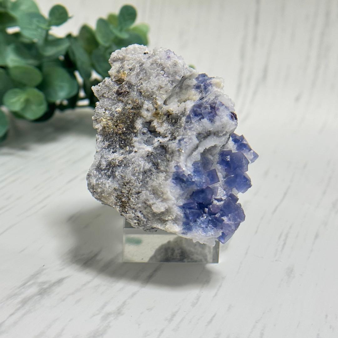 【D293】レア☆ブルー満天星 フローライト ヤオガンシャン 原石 鉱物 標本