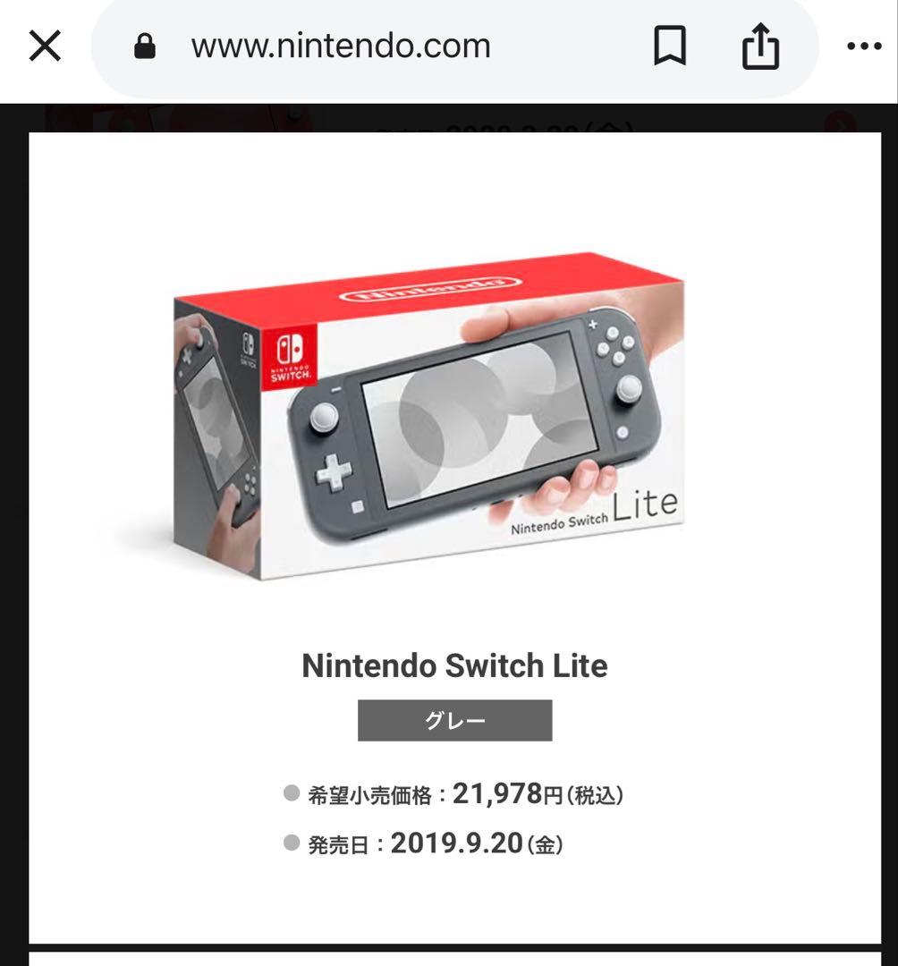 2019年製 Nintendo Switch lite グレー本体　画面キズあり