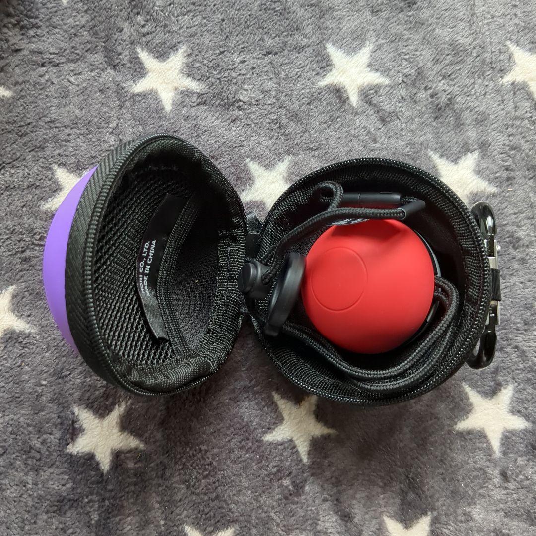 【カイマール】NintendoSwitchピカチュウ+ソフトメモリボール