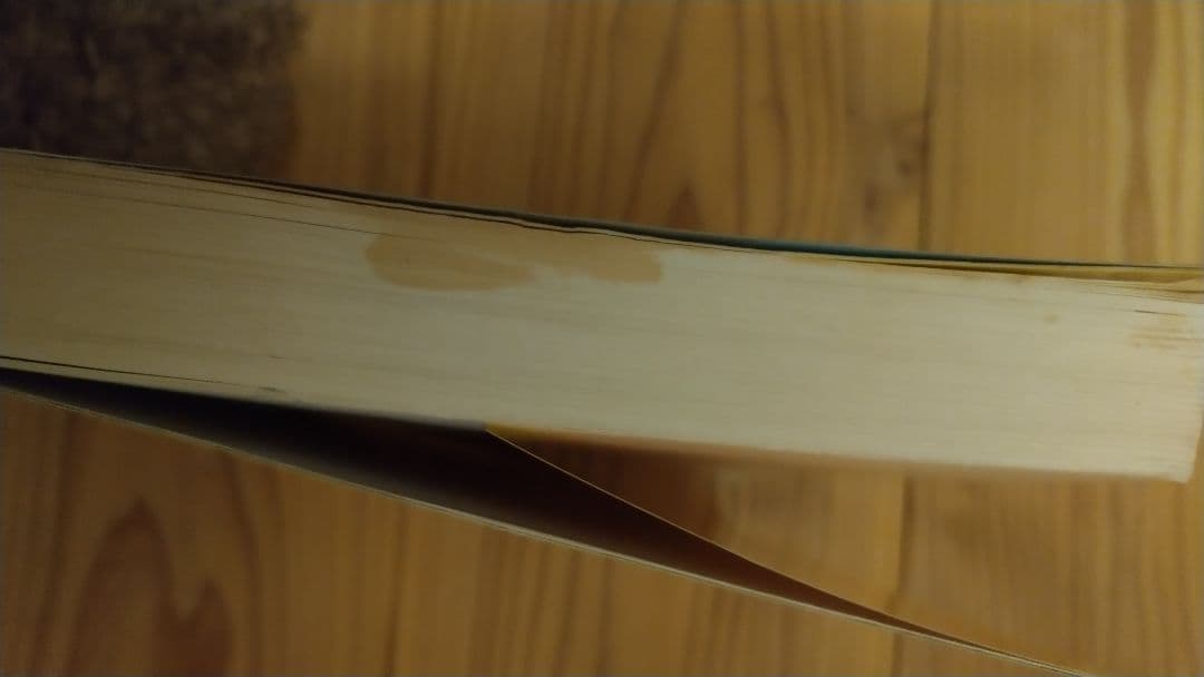 kentaro様 悪い評価について