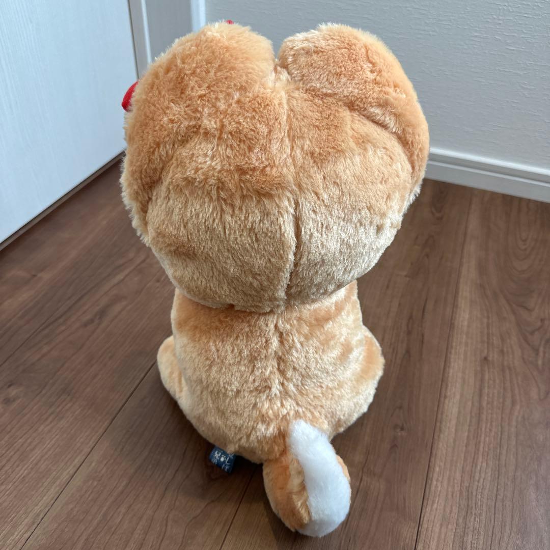 動物 犬 テディベア クマ タヌキ たぬき まとめ売り 8点