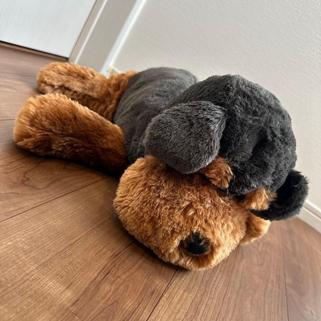 動物 犬 テディベア クマ タヌキ たぬき まとめ売り 8点