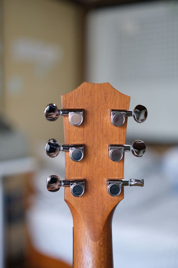 Taylor LTD GS Mini 限定モデル