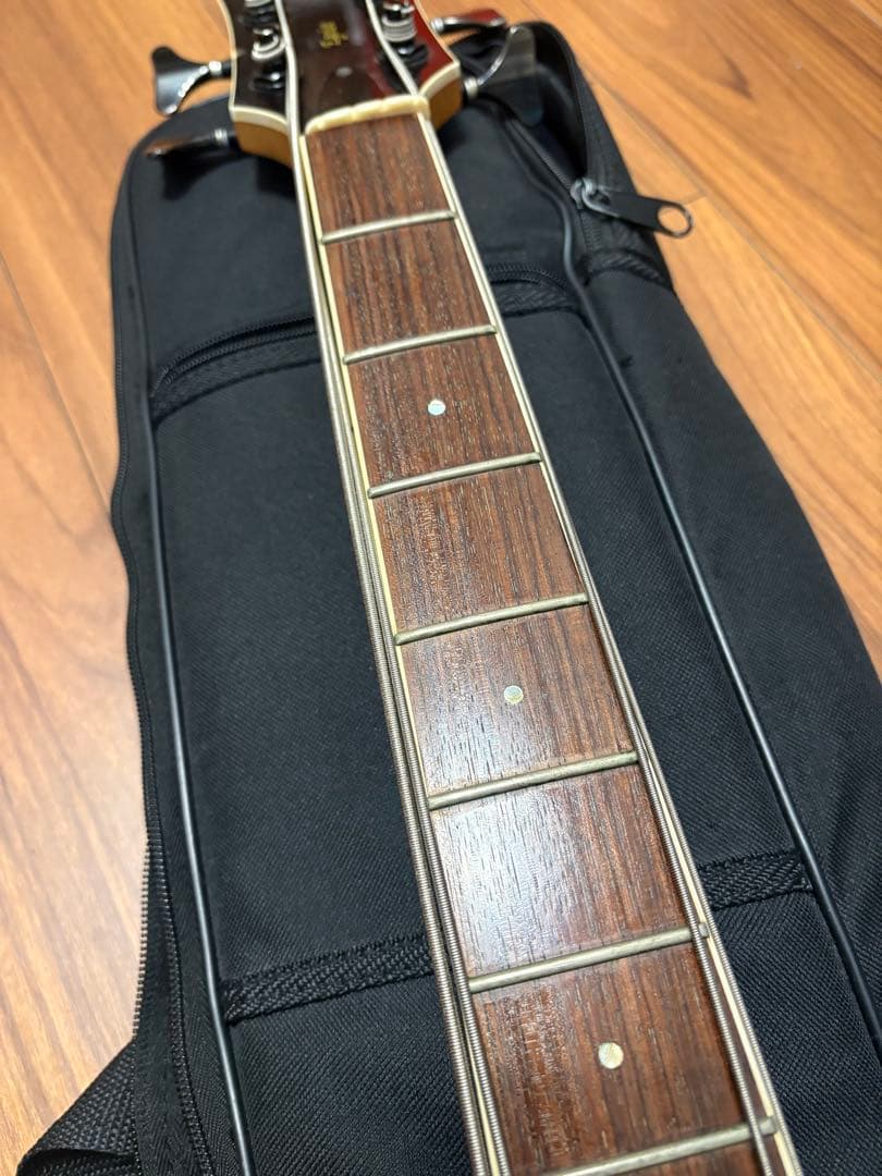 ぬ*こ様 【現状品】esp Egoist MA-250BE 【ジャンク】