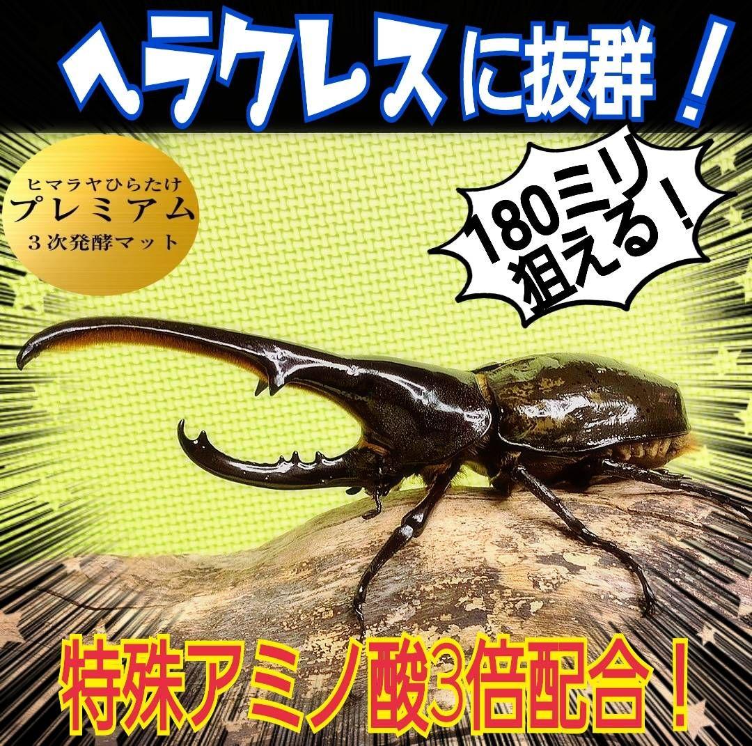 極上！プレミアム3次発酵カブトムシマット【6袋セット】ギネスサイズ羽化実績多数