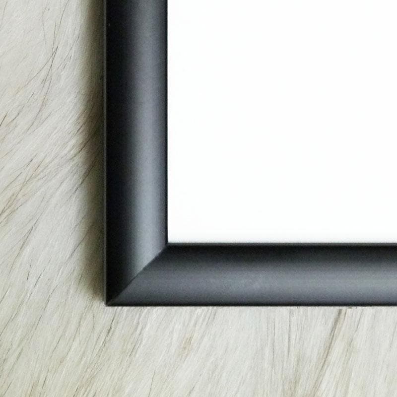 限定価格！額装品/Ceil Be Biche/ブルメンフェルド アートポスター