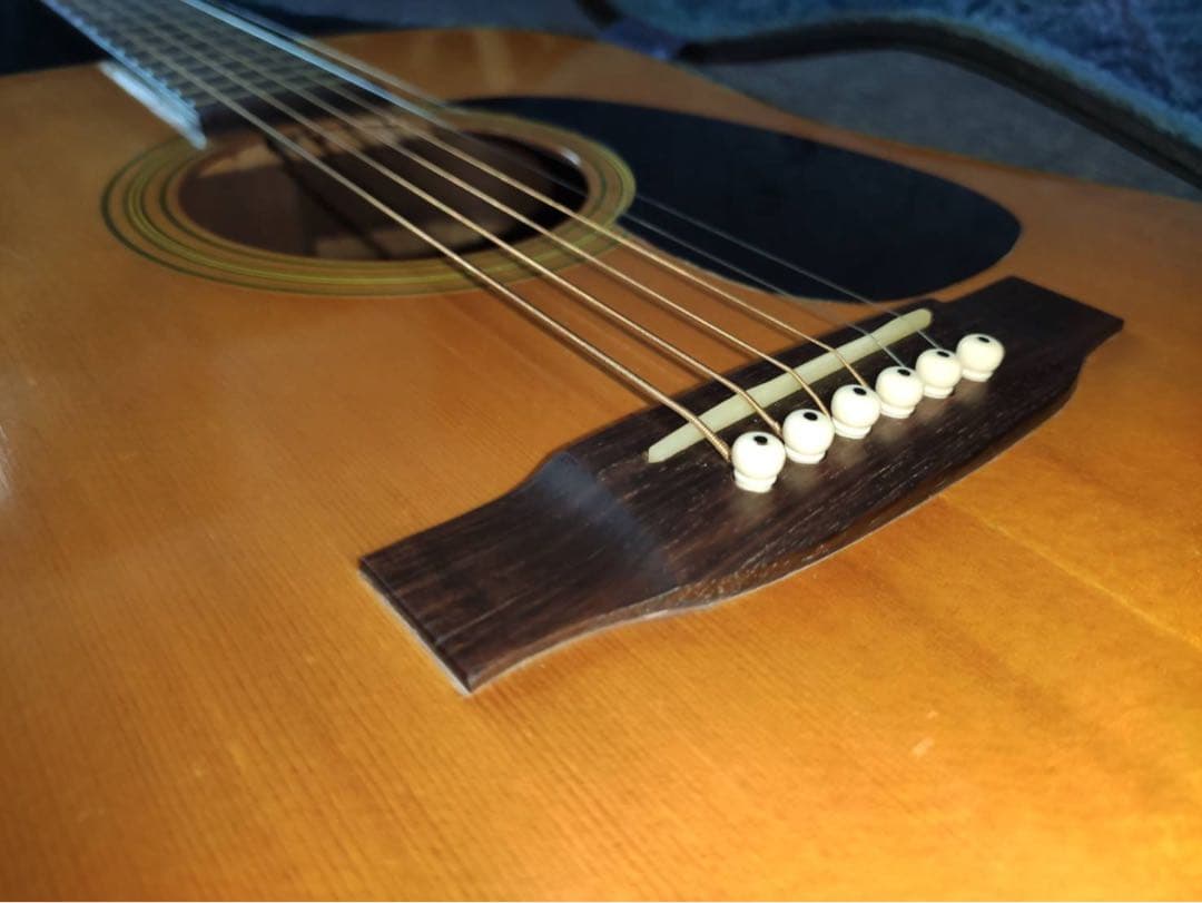 ギター Takamine Elite TW-40