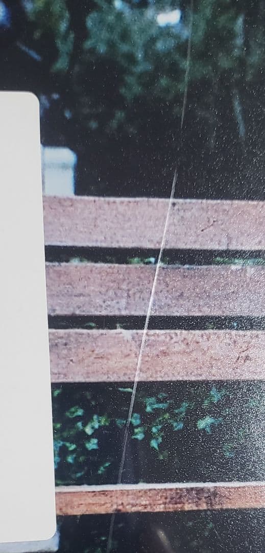 トムハンクス 直筆サインフォト ベケット鑑定 Tom Hanks 洋画 映画