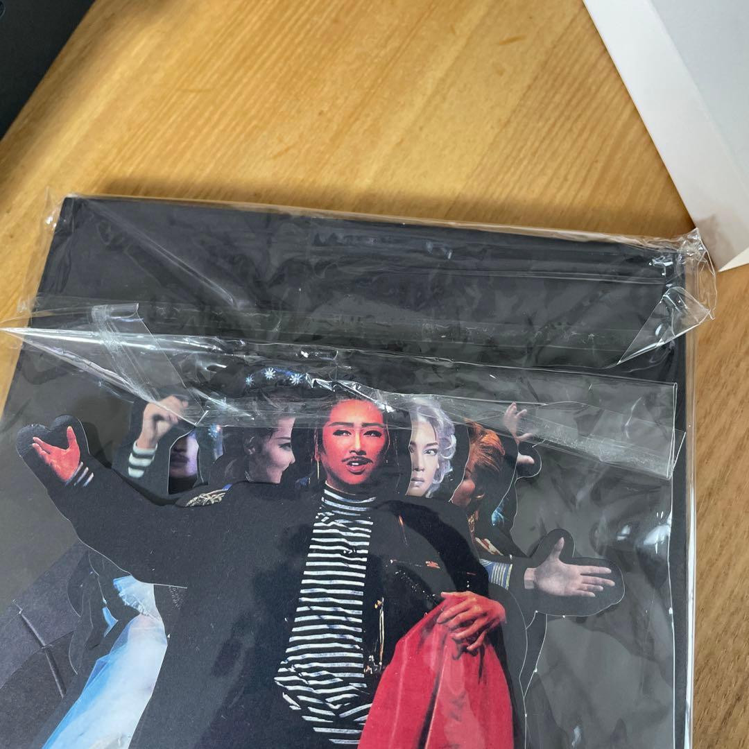 宝塚 エリザベート コンプリートBOX DVD無し