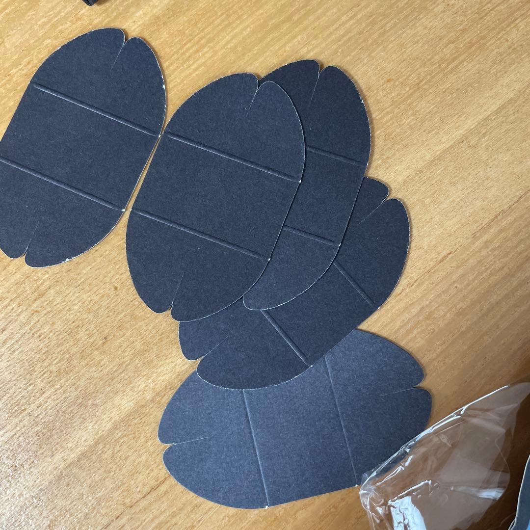 宝塚 エリザベート コンプリートBOX DVD無し