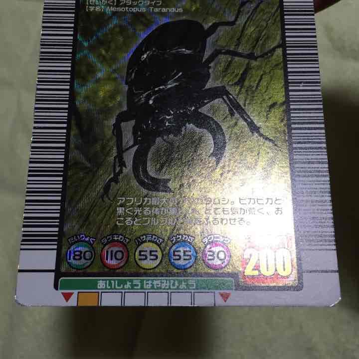 訳アリ確認用。タランドゥス