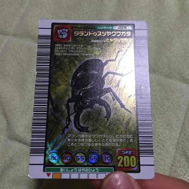 訳アリ確認用。タランドゥス