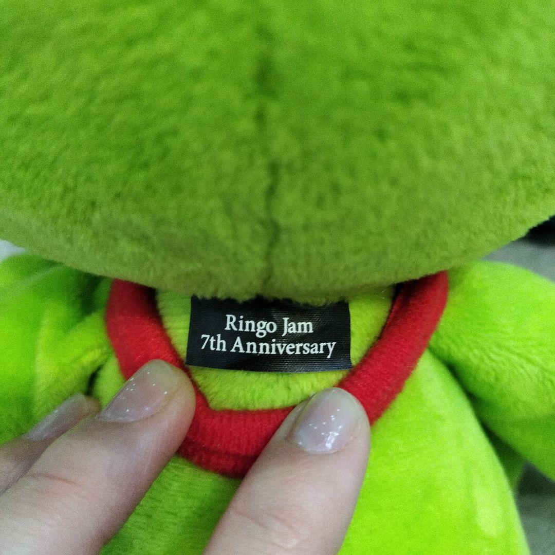 Mrs. GREEN APPLE 引退品