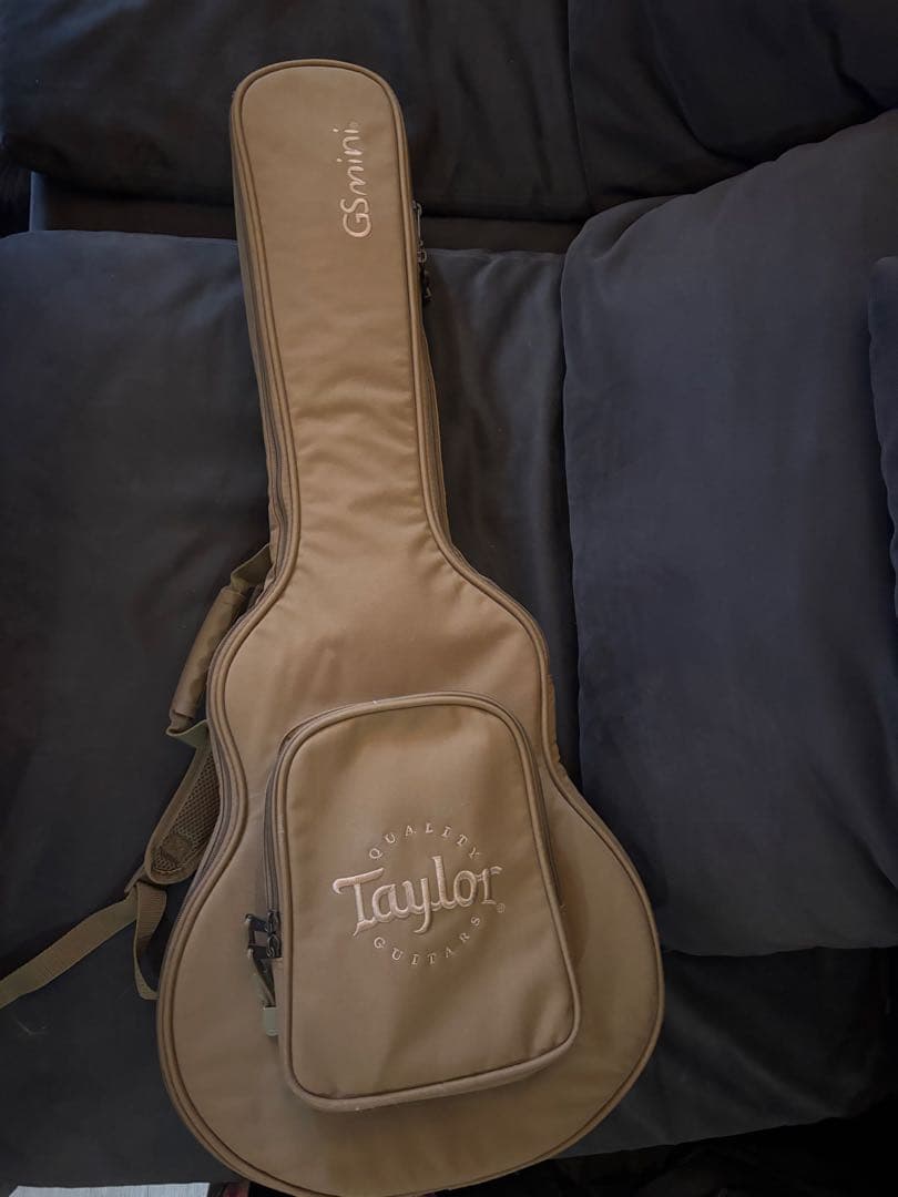 Taylor GS Mini-e RoseWood ES2テイラー