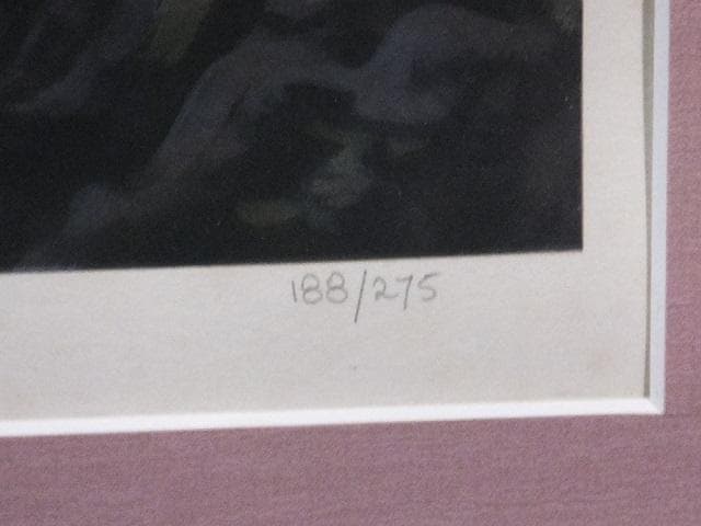 シム・シメール　直筆サイン『ここは彼等の惑星でもある』ミクストメディア1127D