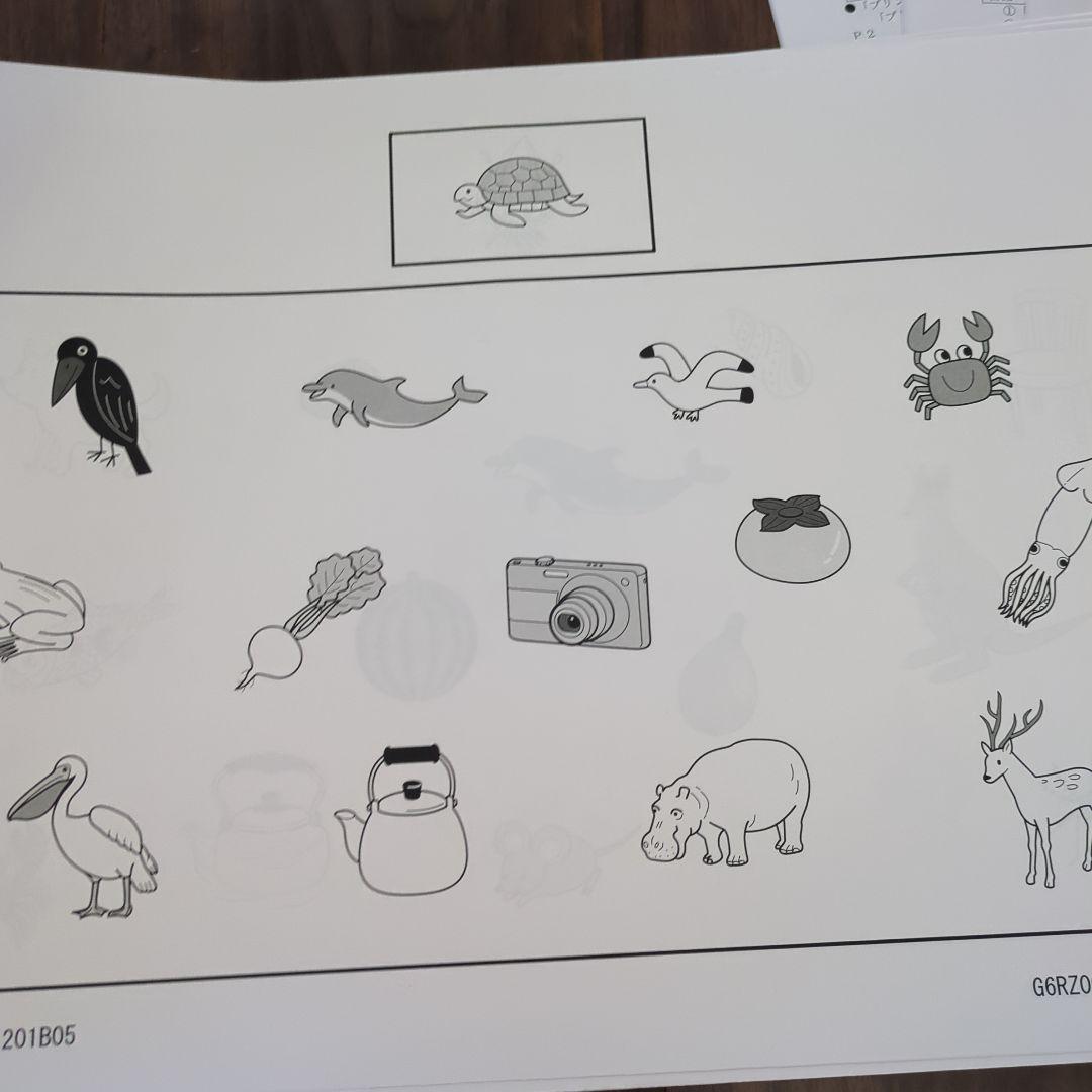 【ペーパ書き込みなし】暁星小学校 志望校対策 12月～10回分 2020年度