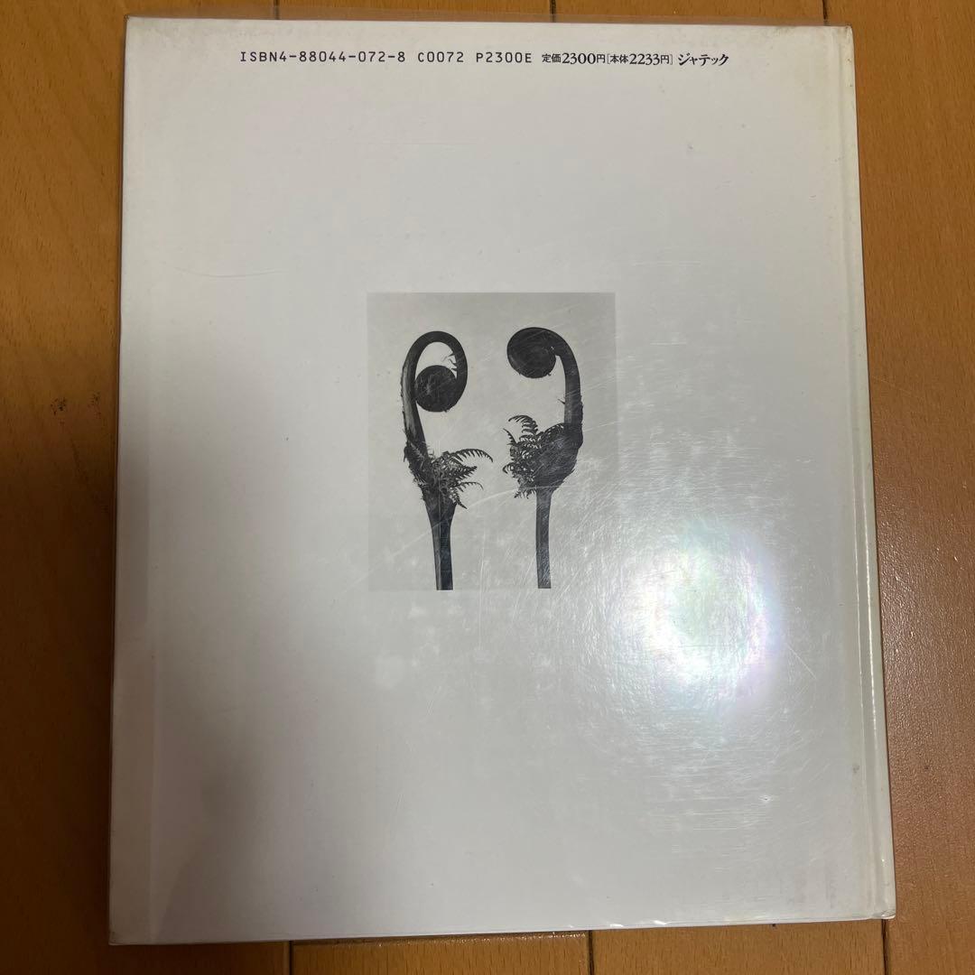 荒木経惟 花陰　初版