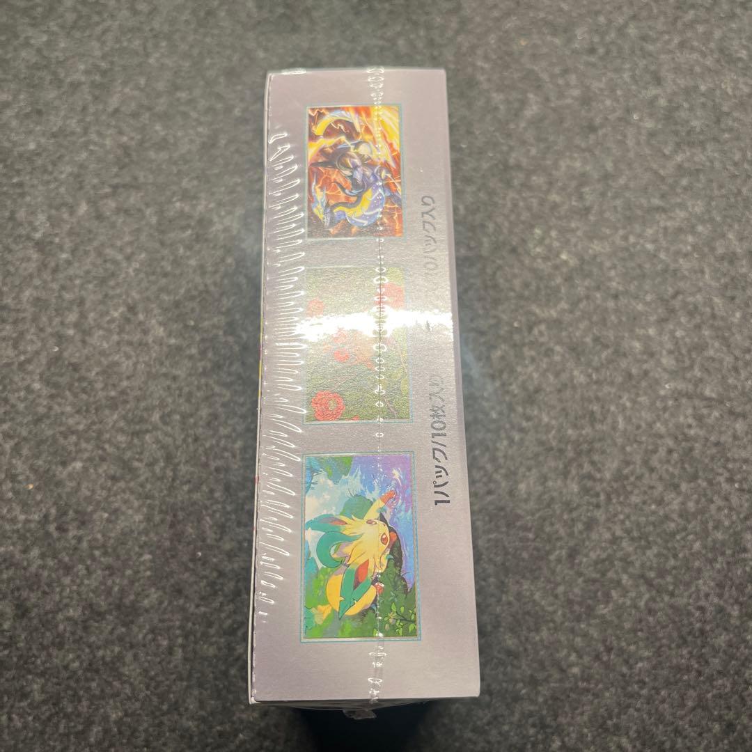 テラフェス シュリンク付き BOX