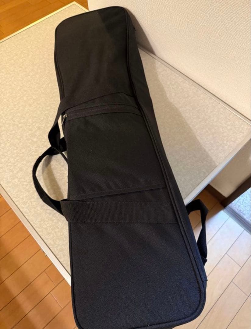 三線（蛇皮＋人工皮）、ケース付き