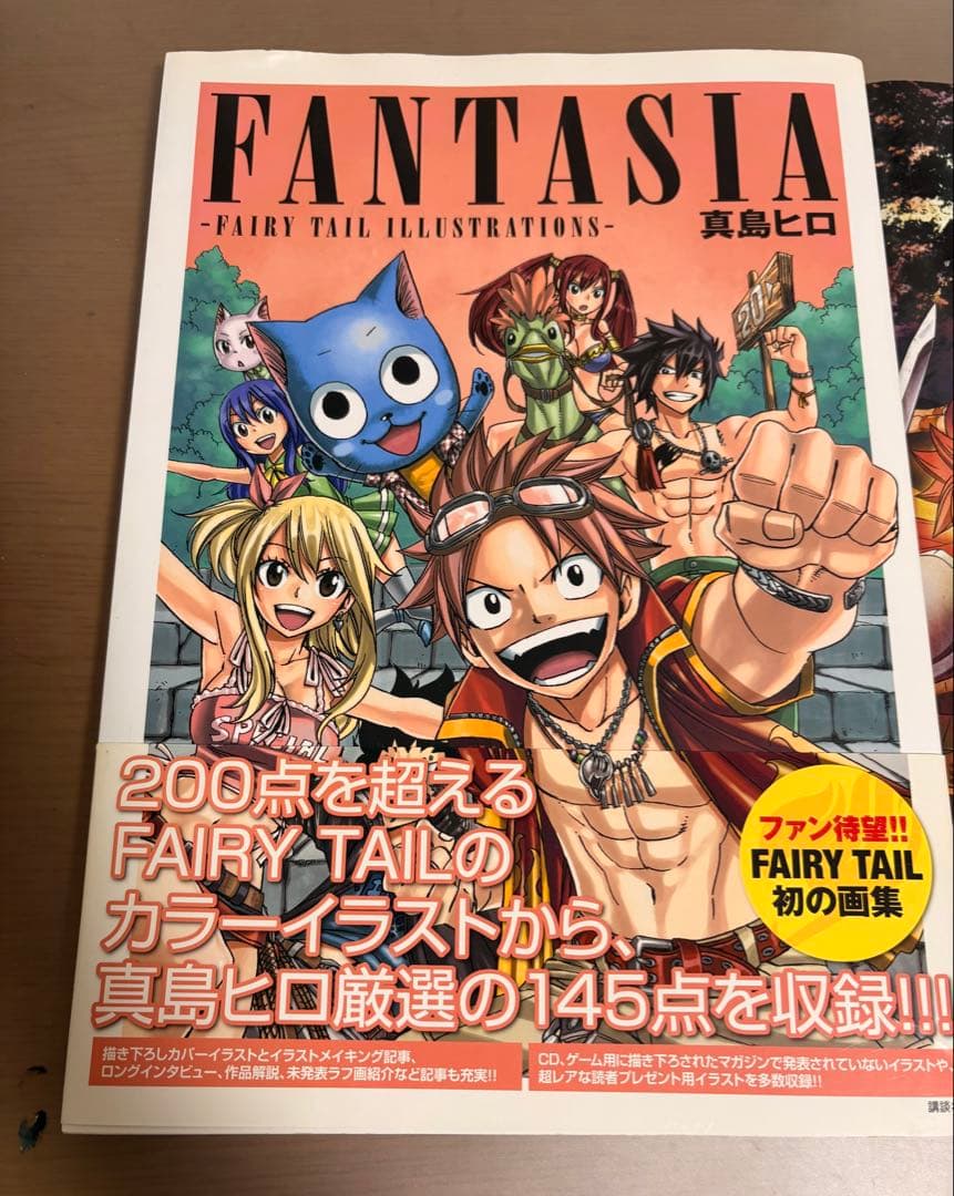 フェアリーテイル全巻＋特装版DVD、パンフレット【値下げコメント可⭕️】