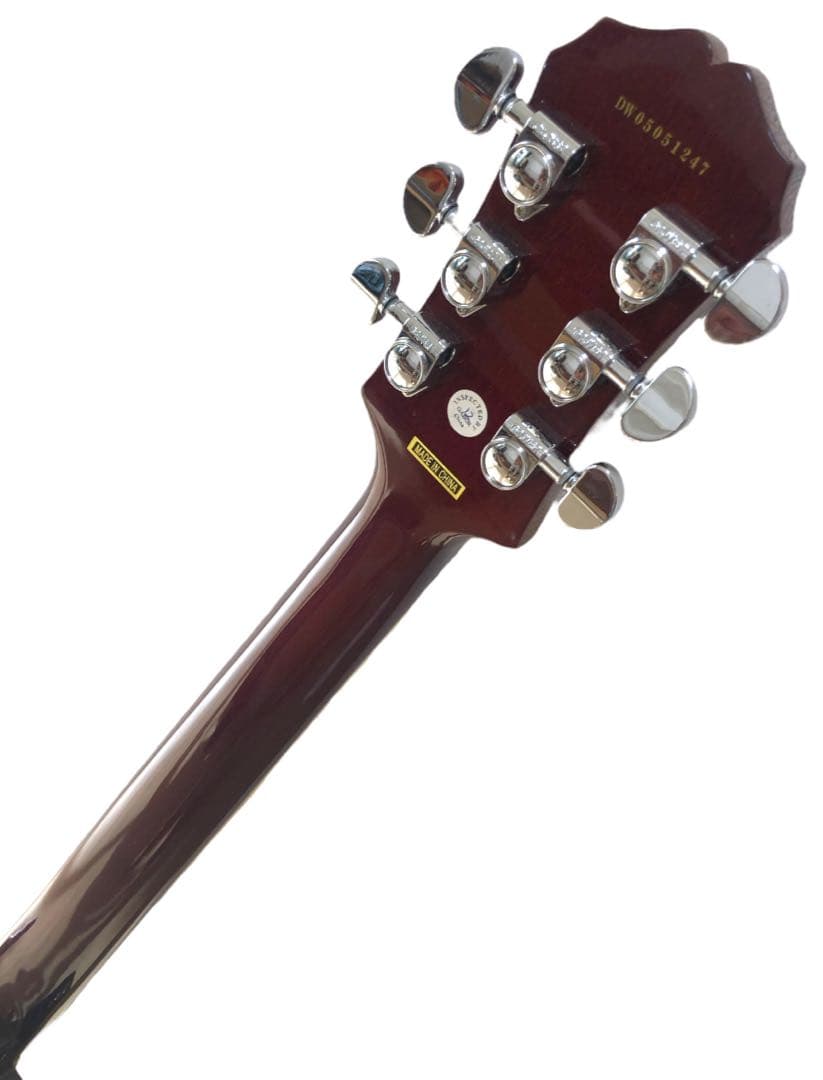 エレキギター&ソフトケース+α  Epiphone