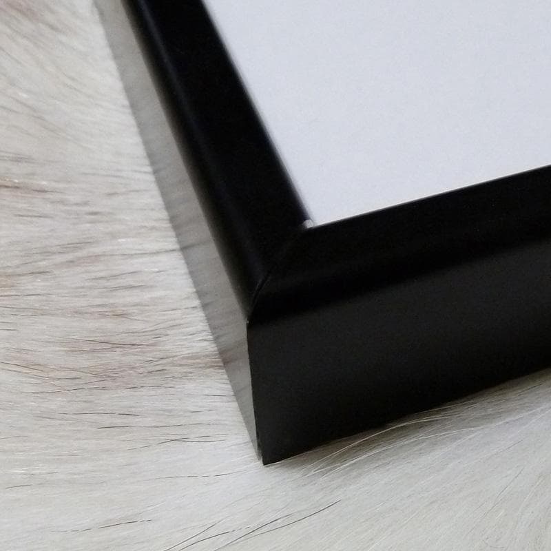 額装済/シド・ヴィシャス(Sid Vicious)Sid choking