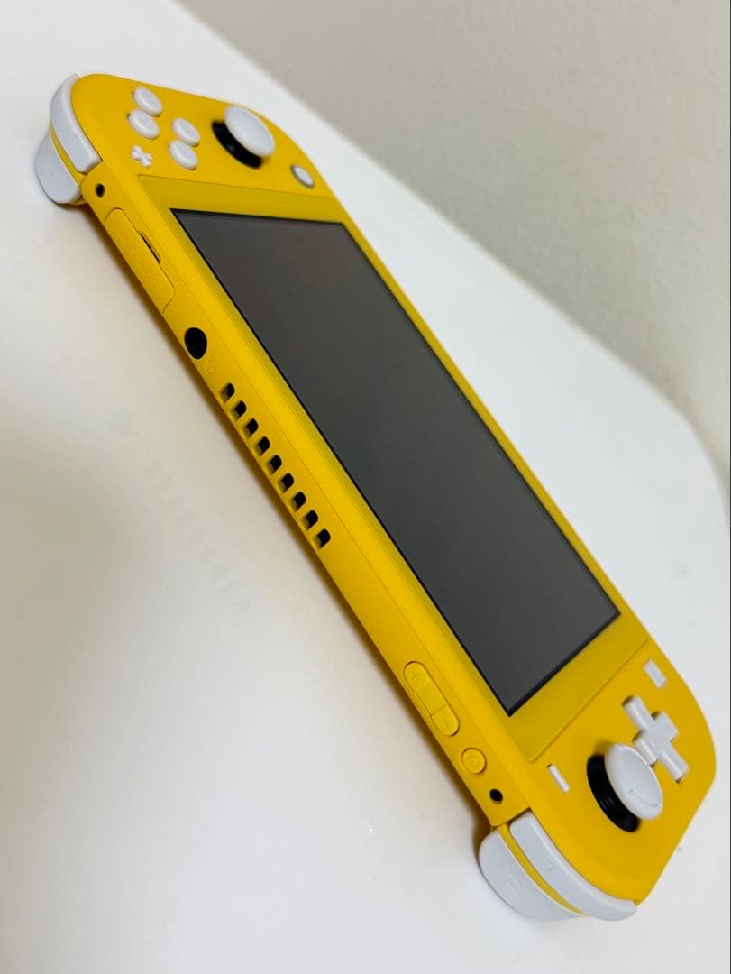 Nintendo Switch Lite ケース付き