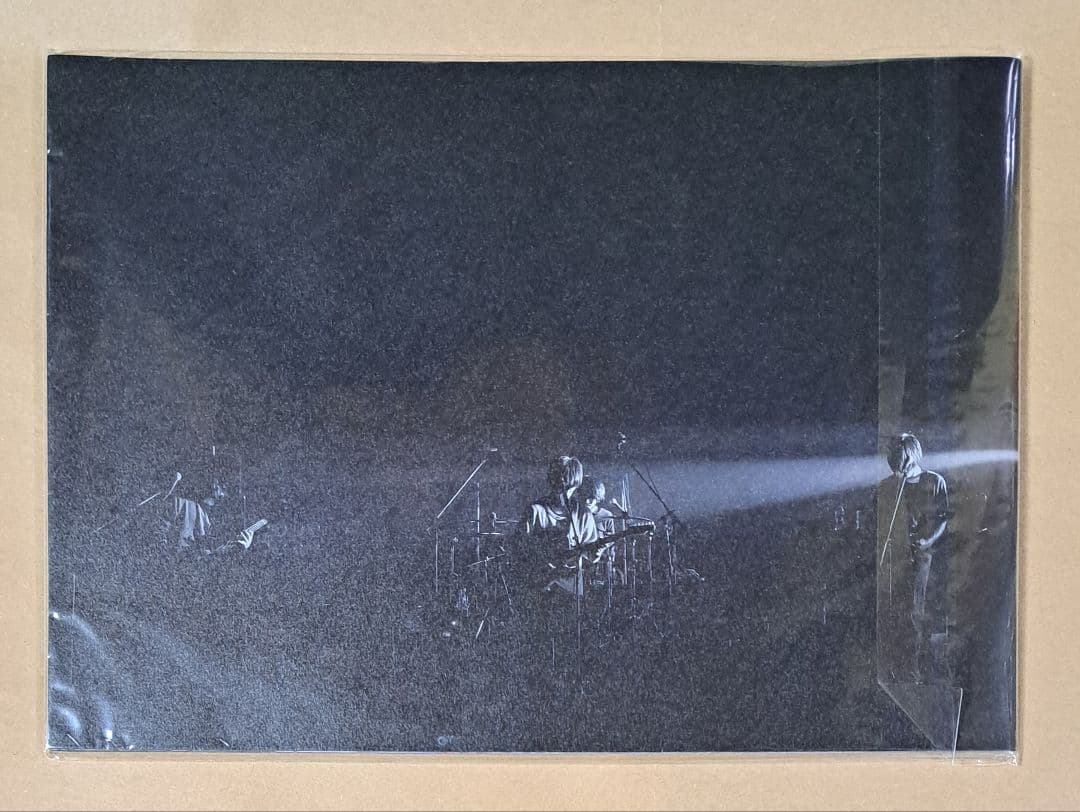 ヒトリエ (wowaka)【限定フォトブック】写真集 ライブ cakebox