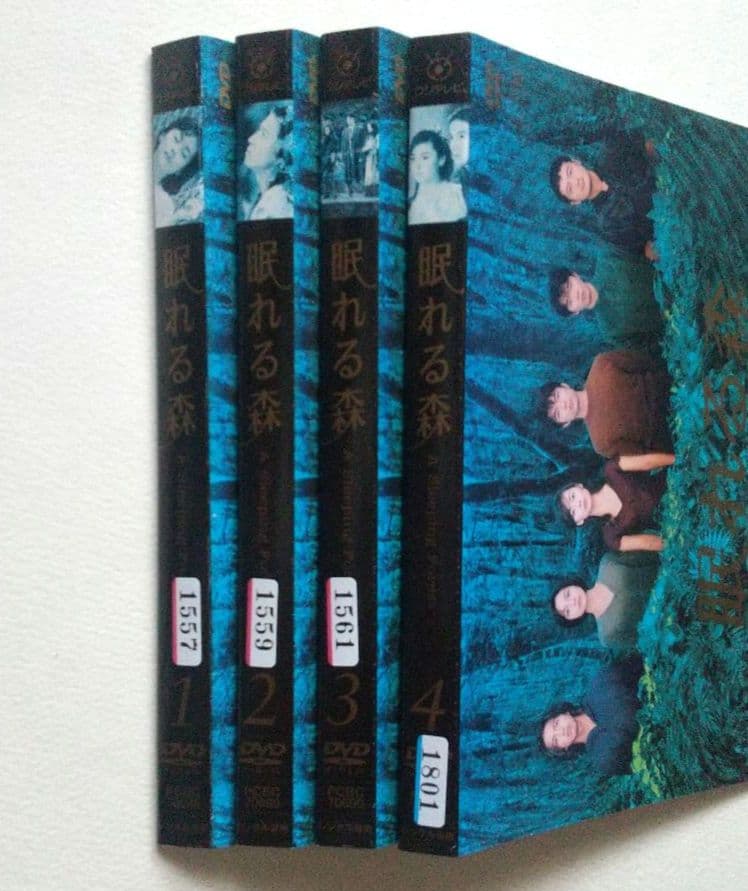 眠れる森 全4巻 レンタル落ちDVD 中山美穂 木村拓哉 仲村トオル 陣内孝則