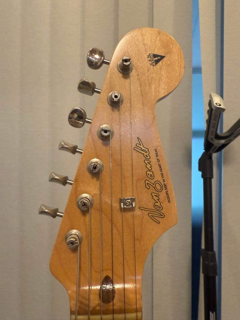 ギター Vanzandt STV-R1