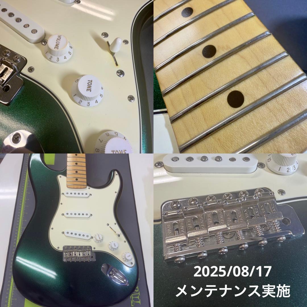 ギター Vanzandt STV-R1