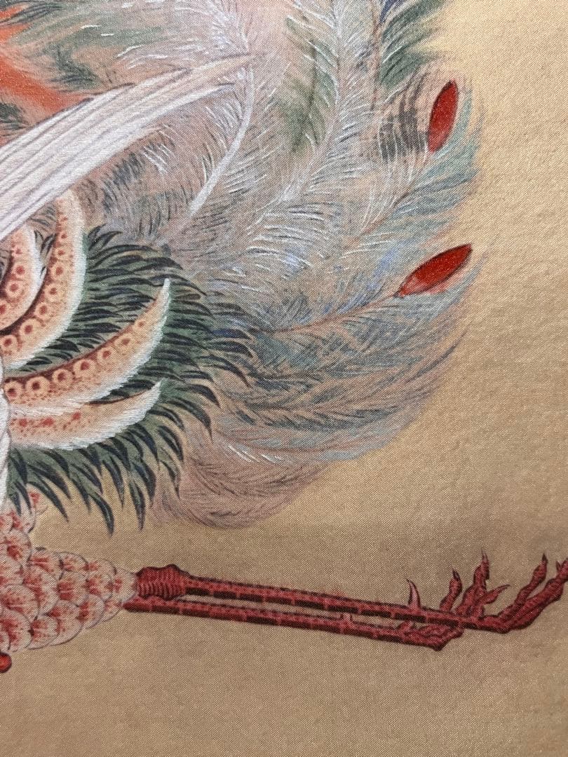 伊藤若冲 「日出鳳凰」印刷工芸 掛軸 掛け軸 絵画 茶掛 旭日 縁起物 魔除