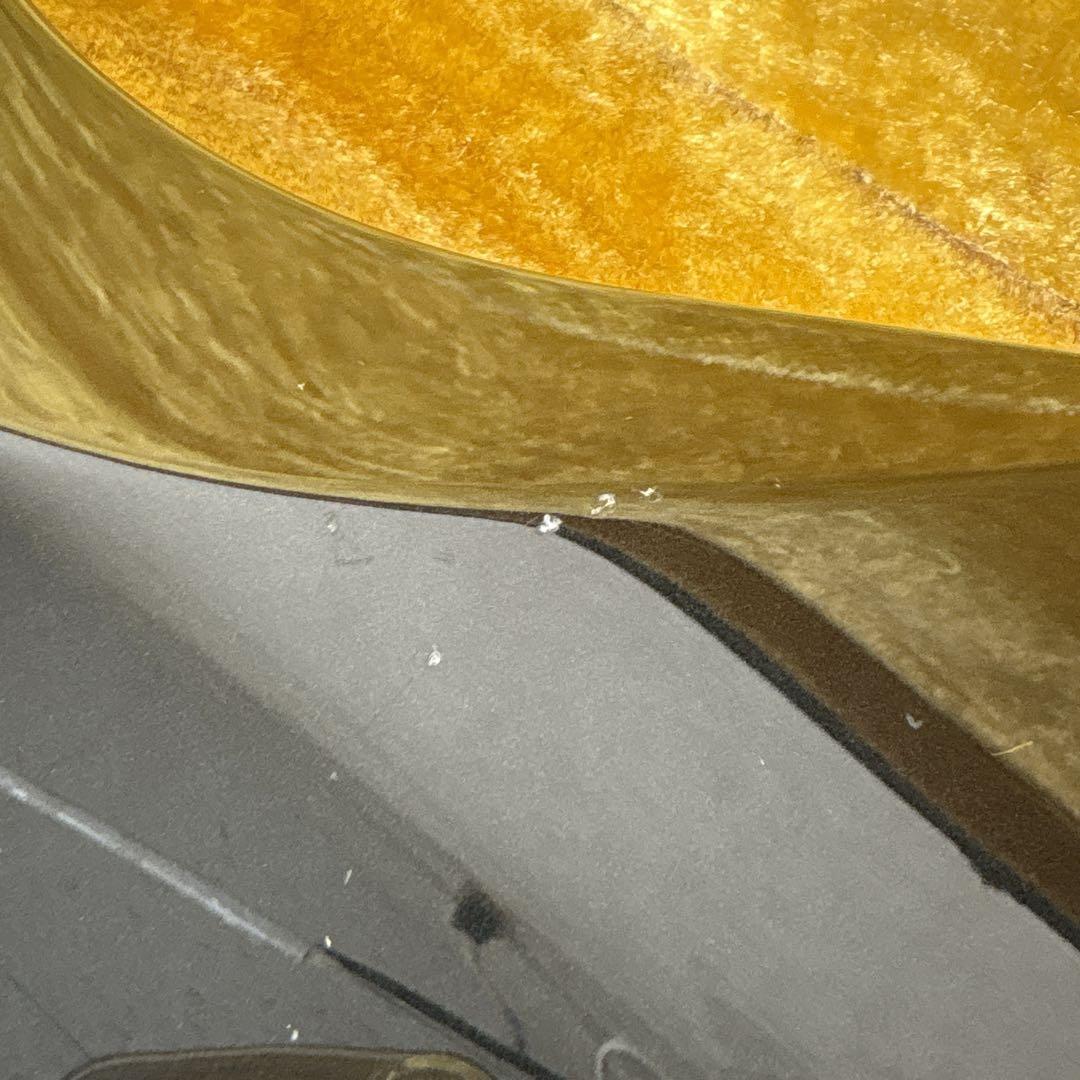 ギター ryoga SKATER MOD