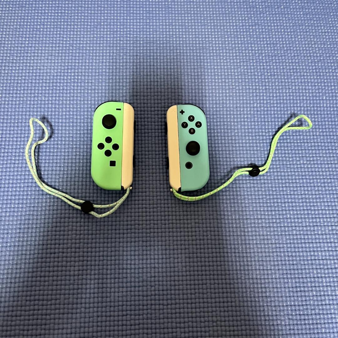 Nintendo Switch あつまれどうぶつの森モデル